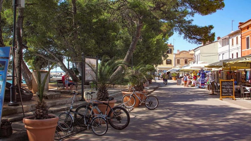Pula: Brijuni National Park Cruise, Lunch and Fažana Beach - Lunch With Three Menu Choices