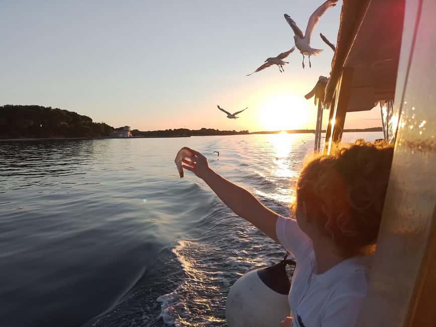 Pula: Brijuni National Park Dolphin Watching Tour w/Dinner - Waiting for dolphins after sunset