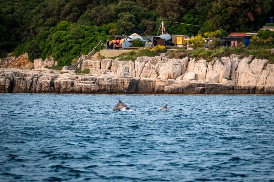 Pula: Brijuni National Park Sunset, Dolphins & Dinner Cruise - Leaving Pula beside Tito’s Park