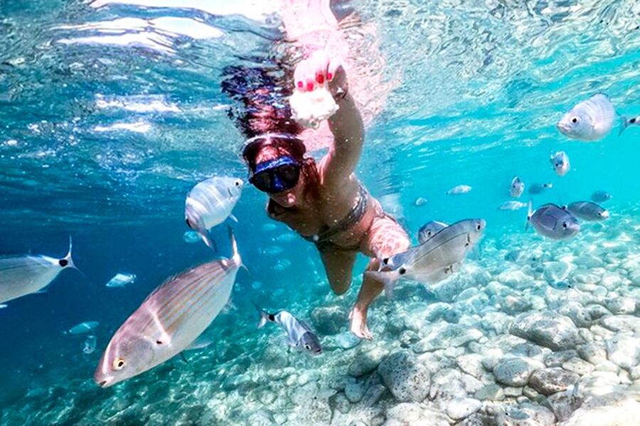 Pula: Brijuni National Park Tour with Island Visit - St. Jerolim: swimming, rocks, and free time