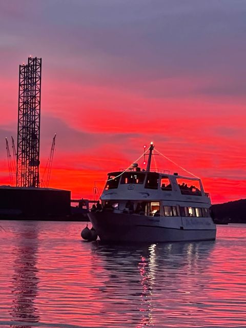 Pula: Brijuni Sunset Dolphin Cruise with Dinner & Drinks - The dolphin search: exciting but never certain