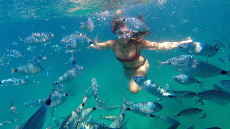 Pula: Cave Kayak, Snorkeling, Cliff Jumping All-in-one Tour - Cliff jumping up to 15 meters