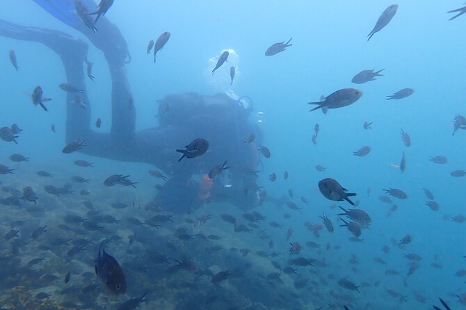 Pula Discover Scuba Diving Package - Learning the basics before entering open water