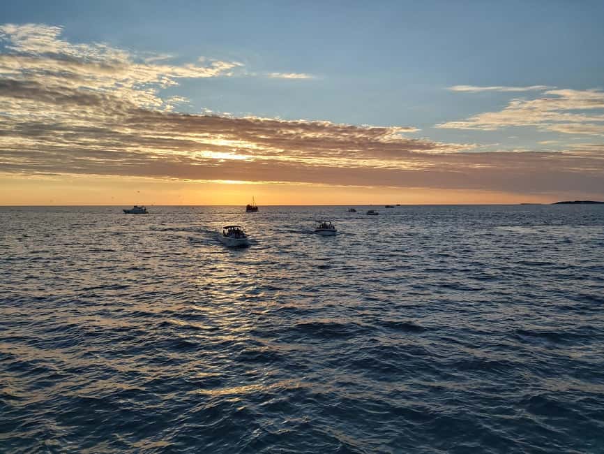 Pula: Dolphin Sunset Cruise to Brijuni with Dinner & Drinks - Why Ananda works well for an evening cruise