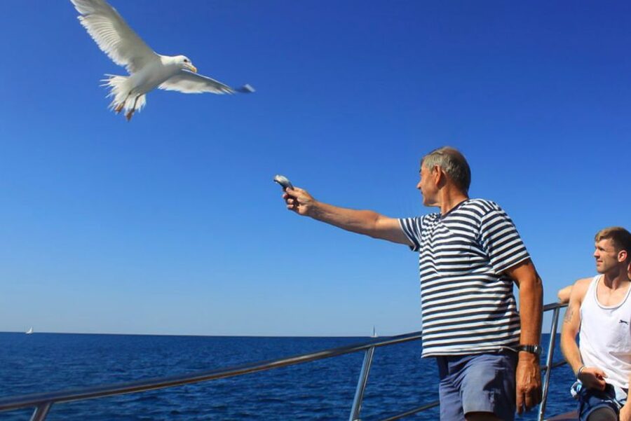 Pula: Dolphin Watching Sunset Cruise with Dinner & Drinks - Leaving Pula harbor with the amphitheater behind you