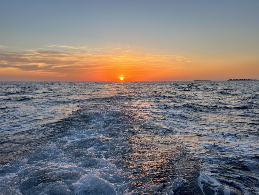 Pula: Dolphin Watching Sunset Cruise with Dinner & Drinks - Pula’s Lighting Giants on the return