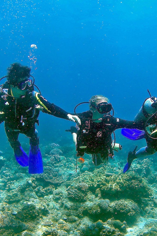 Pula: Introduction to Scuba Diving - Weather, Timing, and What to Bring