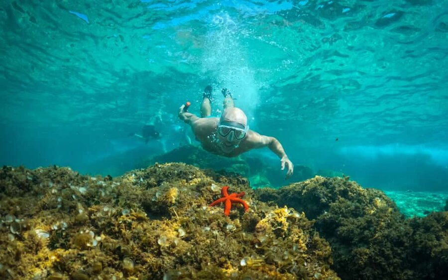 Pula: Kayaking,Snorkeling, Cliff jumping Tour with Wetsuit - Key points to know before you paddle