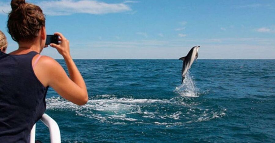 Pula: National Park Brijuni Island Visit & Dolphin Cruise - Leaving Pula for Brijuni National Park