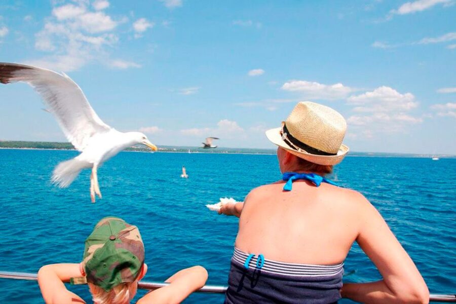Pula: National Park Brijuni Island Visit & Dolphin Cruise - Who will enjoy this cruise most?