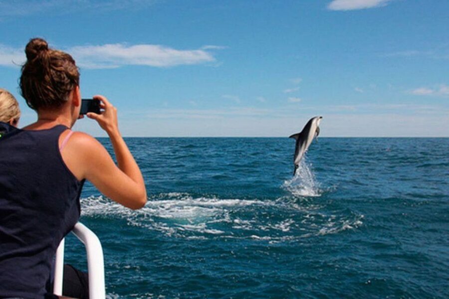 Pula: National Park Brijuni Island Visit & Dolphin Cruise - St. Jerolim Island gives you real time off the boat