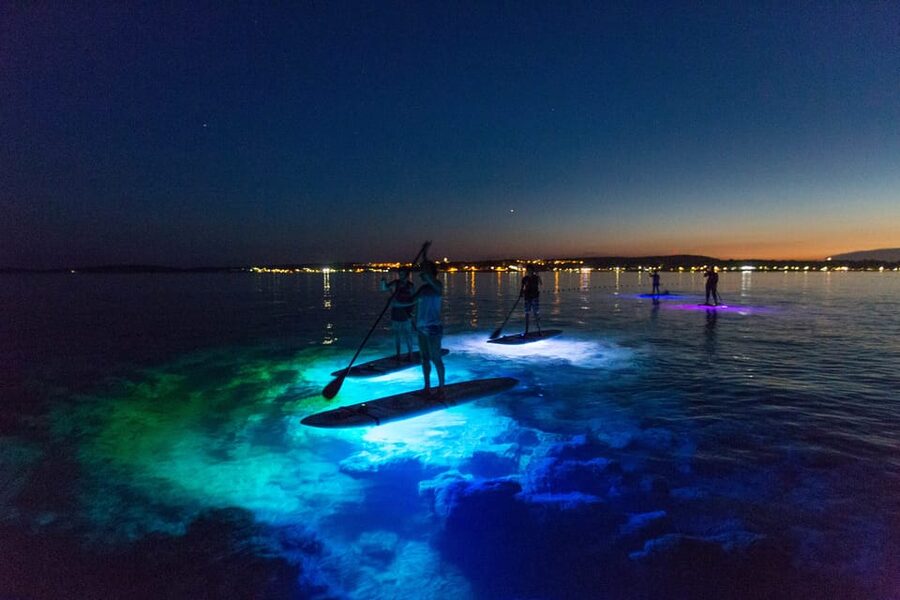 Pula: Night LED Stand-Up Paddle Board Tour - What the route feels like in practice