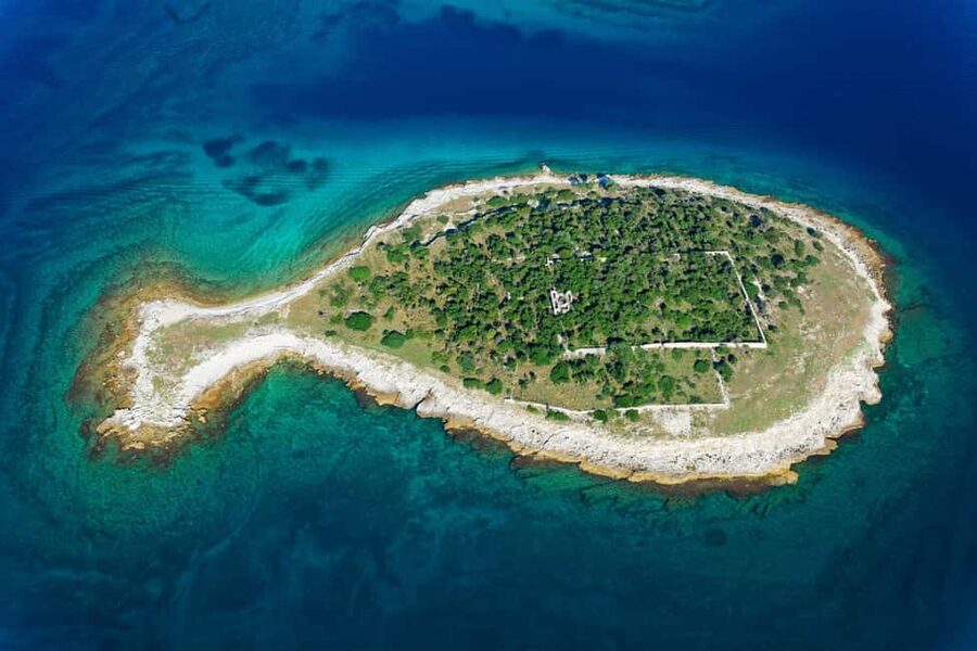 Pula: Private Brijuni Tour With Swimming, Dinner & Drinks - Seeing all 14 Brijuni islands by boat