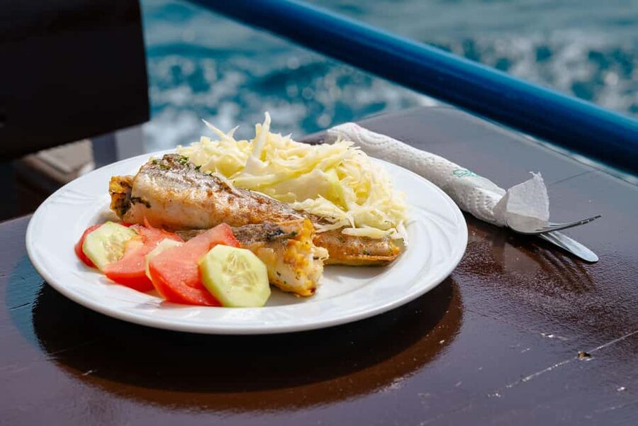 Pula: Private Brijuni Tour With Swimming, Dinner & Drinks - What is included in the drinks service