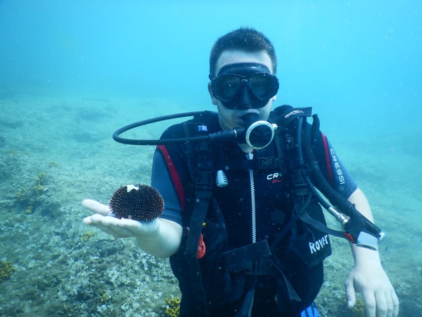 Pula: Private Introduction to Scuba Diving - Your first underwater session in Pula