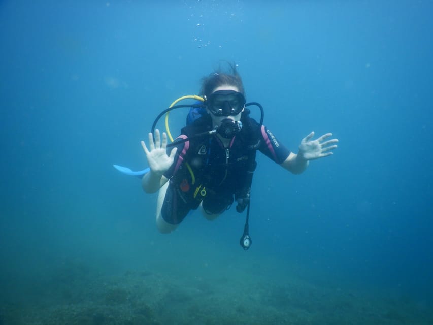 Pula: Private Introduction to Scuba Diving - The drawbacks to consider before paying