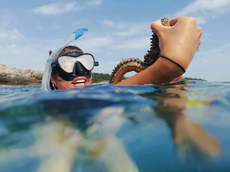 Pula: Sea Adventure – Boat, Kayak, Snorkeling & Cliff Jumps - Kayaking below the cliffs of Muzil Peninsula