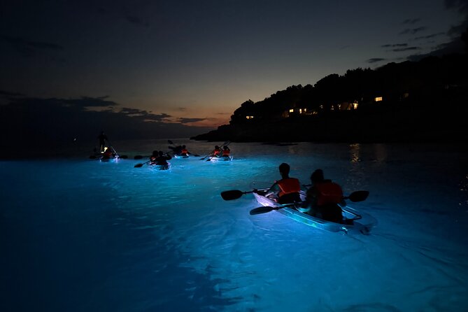 Pula: Sunset/Night-time Illuminated Transparent Kayak Tour - Who will enjoy this Pula activity most