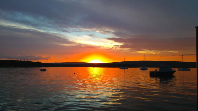 Punat: Plavnik and Krk Islands Private Boat Trip - How much value do you get for $439?