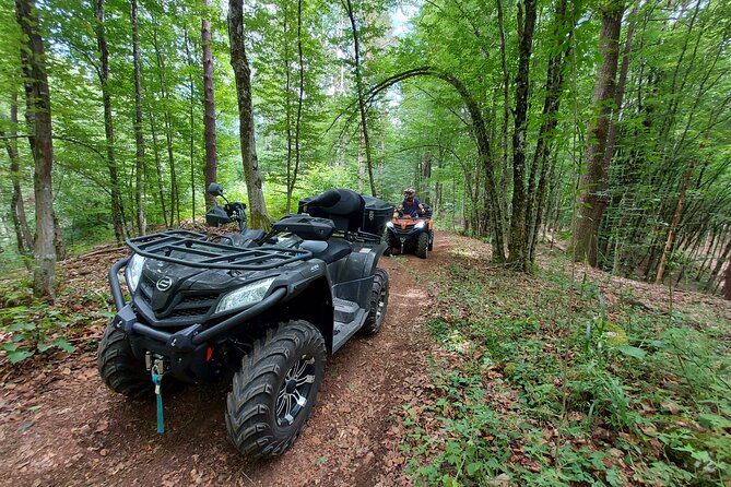 Quad adventure - Who will enjoy this more than a standard park visit