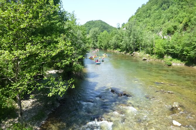 Rafting and Kayaking Adventure in River Kupa - Lunch and the value of $60.21