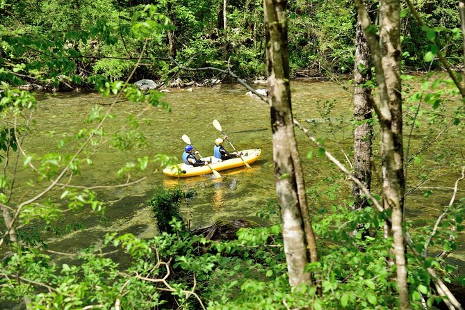Rafting and Kayaking Adventure in River Kupa - Who should book this river outing
