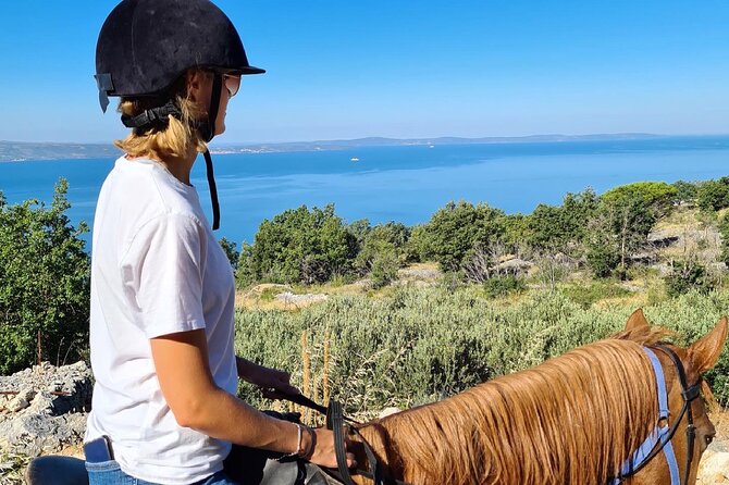 Ranch 22 Podstrana, " Horse riding 12 km from SPLIT " - Meeting the horses and guide
