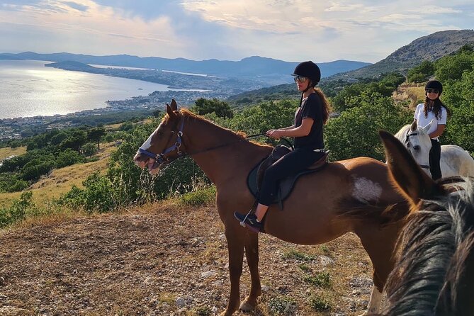 Ranch 22 Podstrana, " Horse riding 12 km from SPLIT " - Homemade snacks, wine, and the return to the ranch