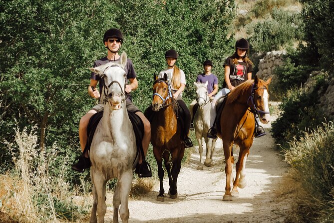 Ranch 22 Podstrana, " Horse riding 12 km from SPLIT " - Who may want to choose something else