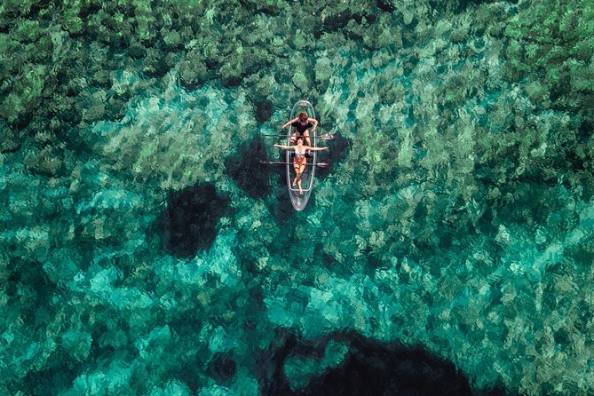 Rent a Transparent Kayak - Discover the Underwater Magic - What you may see below the kayak