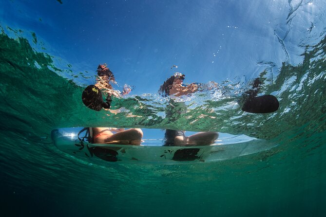Rent a Transparent Kayak - Discover the Underwater Magic - The 90-minute paddle around Stoja