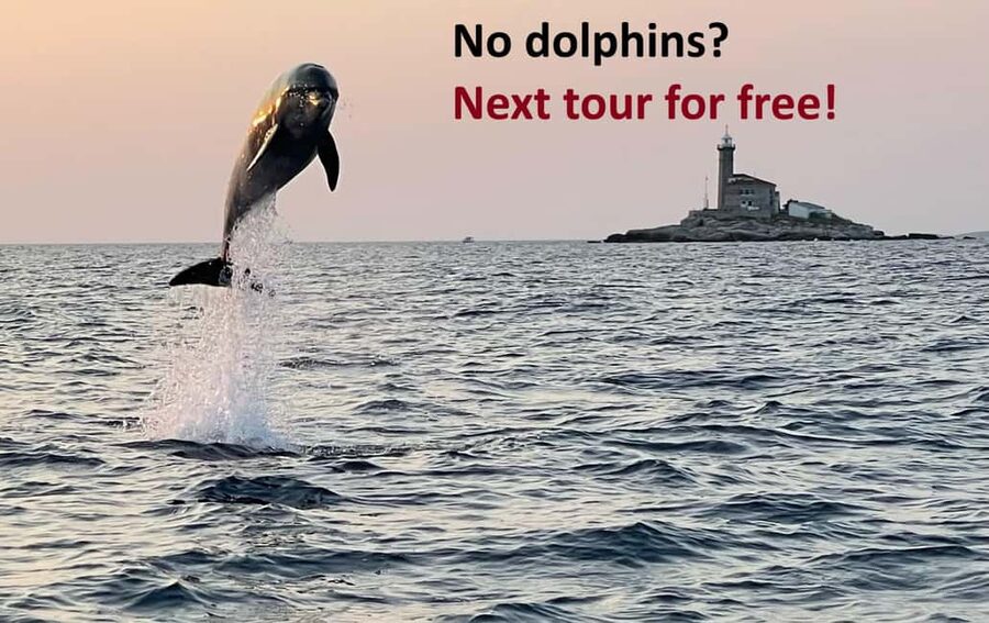 Rovinj: Dolphin Watching Sunset Speedboat Tour with Drinks - The first 15 minutes: Rovinj from the water