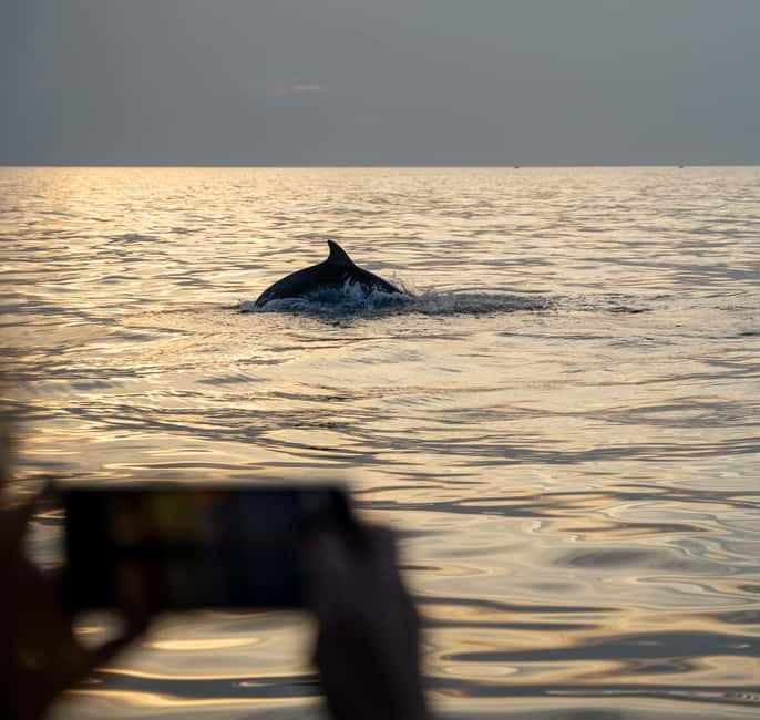 Rovinj: Dolphin Watching Sunset Speedboat Tour with Drinks - Sunset on the return to Rovinj