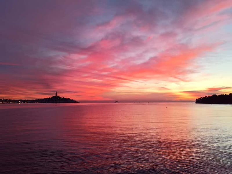 Rovinj: Dolphin Watching Sunset Speedboat Tour with Drinks - The skipper makes a real difference