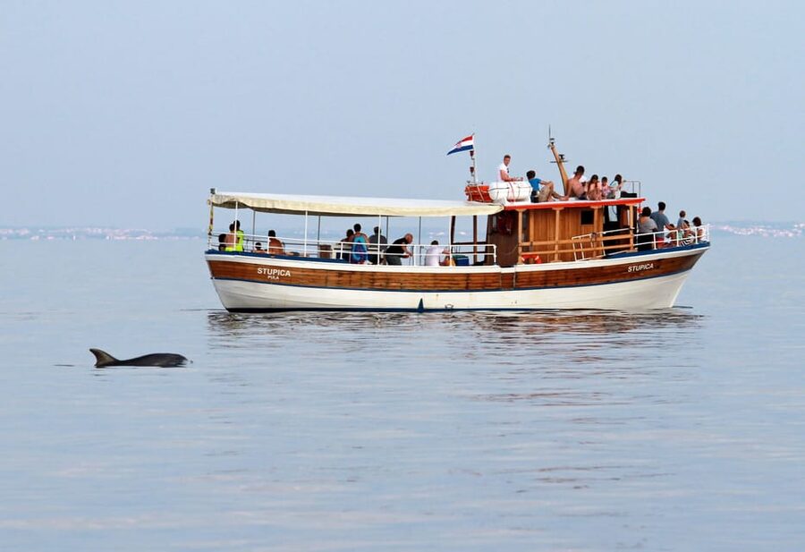 Rovinj half-day cruise: swim stops, drinks & brunch included - Two swim stops around the Rovinj islands