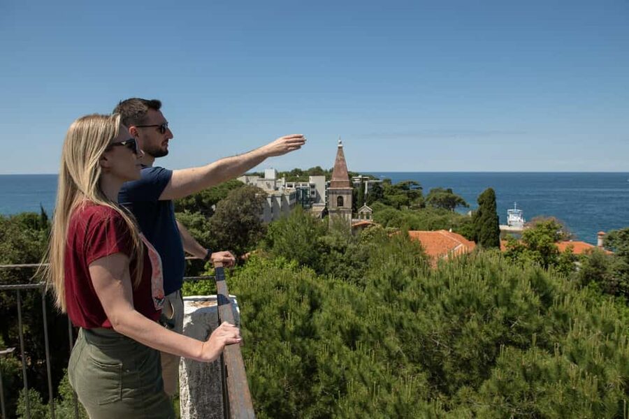 Rovinj: Luxury Island Hopping with Swimming & Snorkeling - Comfort, drinks, and what to pack