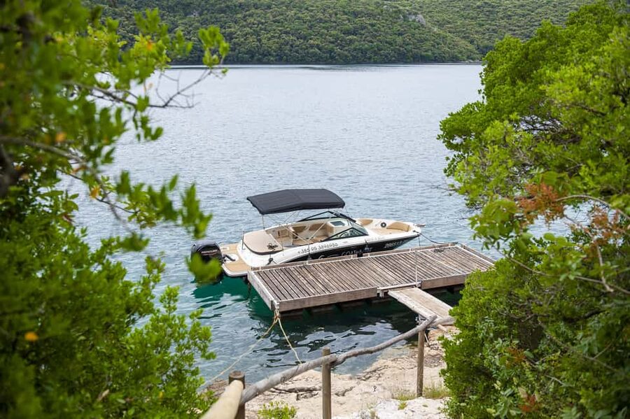 Rovinj or Vrsar: Lim Fjord & Rovinj islands Speedboat Tour - Dolphins, music, and the skipper’s role