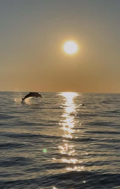 Rovinj: Shared Dolphin and Sunset Tour with Drinks - The first 10 minutes: leaving shore by speedboat
