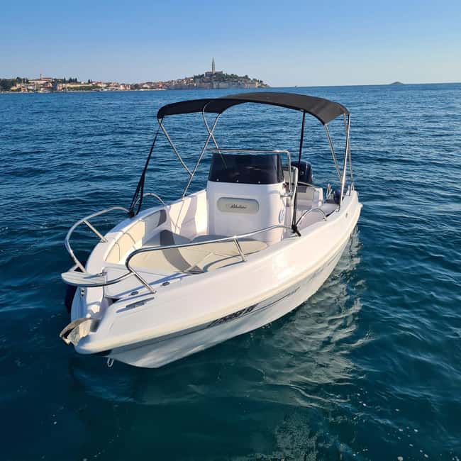 Rovinj: Shared Dolphin and Sunset Tour with Drinks - The main 45 minutes: dolphins, islands, and open water