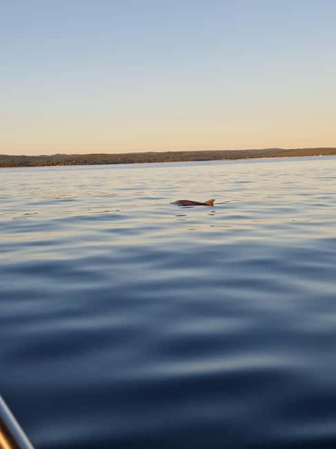 Rovinj: Shared Dolphin and Sunset Tour with Drinks - Sunset from the water, not the promenade