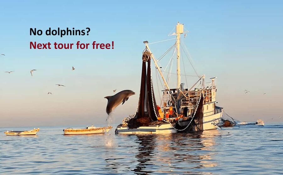 Rovinj: Sunrise Dolphins & Fishermen at Work Speedboat Tour - The fishing boats are the real stage