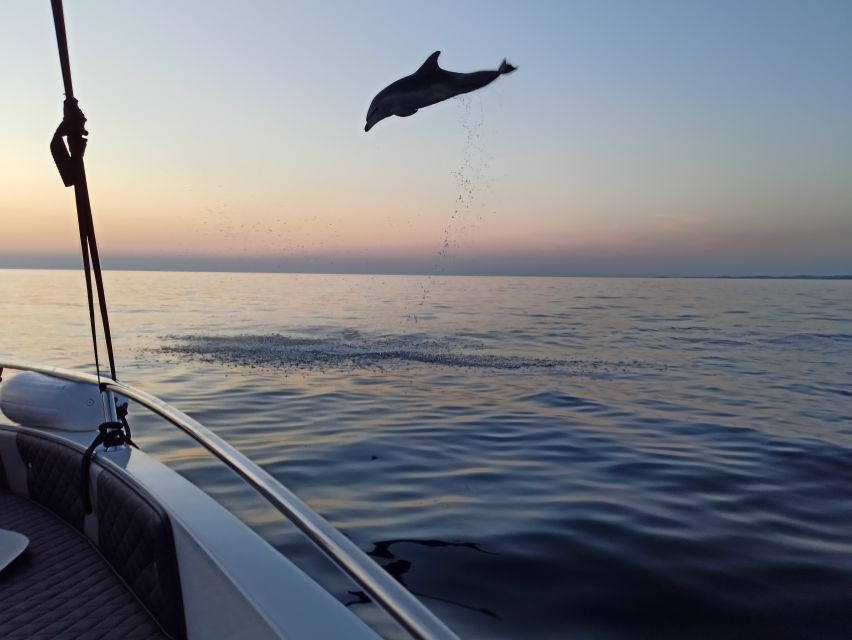Rovinj: Sunrise Dolphins & Fishermen at Work Speedboat Tour - Sunrise behind the Istrian hills