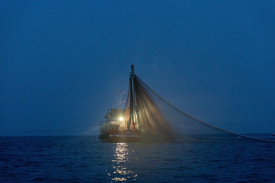 Rovinj: Sunrise Dolphins & Fishermen at Work Speedboat Tour - What makes the small group worthwhile
