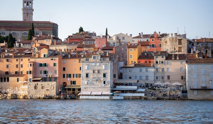 Rovinj: Sunrise Dolphins & Fishermen at Work Speedboat Tour - Weather, wildlife, and the free return trip