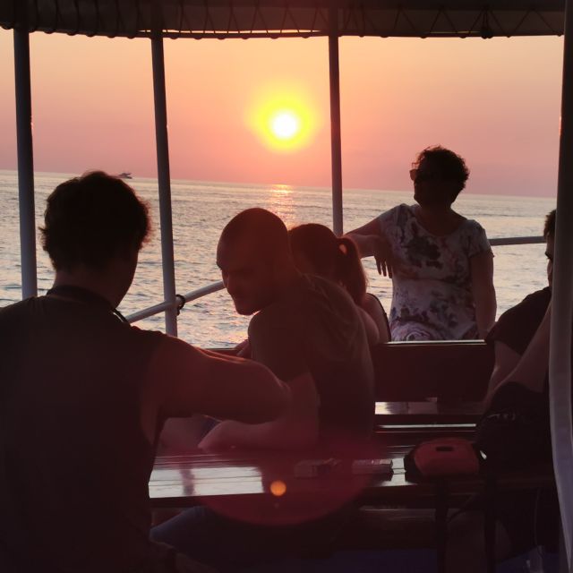 Rovinj: Sunset Boat Trip with Dolphin Watching - Searching for dolphins in the Adriatic