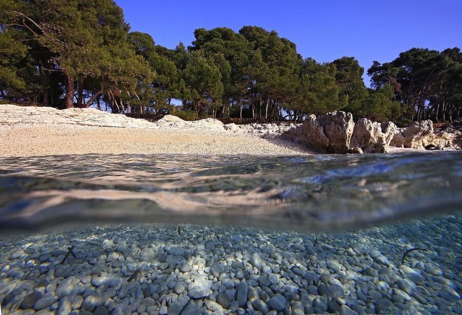 Sakarun Beach Full-Day Guided Tour from Zadar - Food, atmosphere, and the small compromises