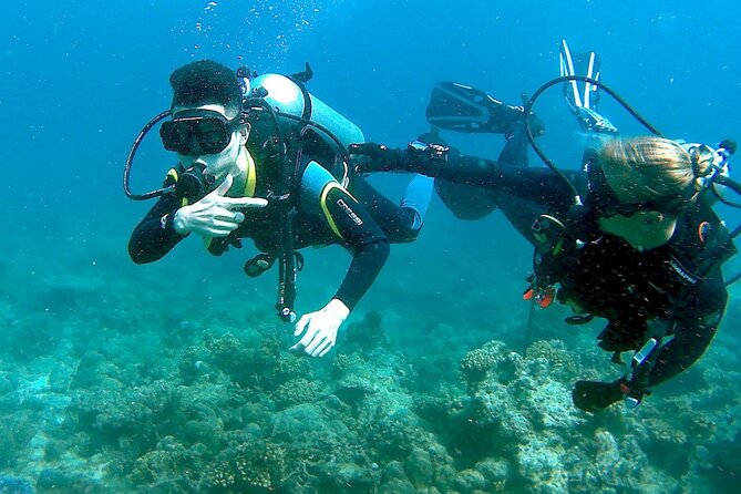 Scuba Diving for Beginners in Pula - Key points before you book