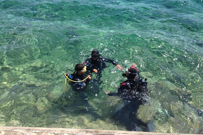 Scuba Diving for Beginners in Pula - The house reef at a maximum of 7 meters