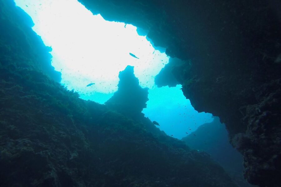 Scuba Diving in Dubrovnik: 1 Dive for Certified Divers - Choosing between reefs, caves, and wrecks