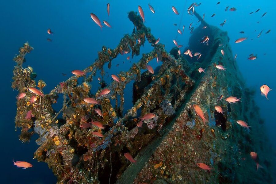 Scuba Diving in Dubrovnik: 1 Dive for Certified Divers - What the 150-minute session includes